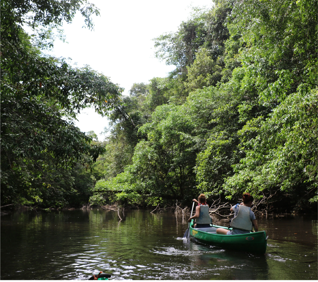 Amazonia